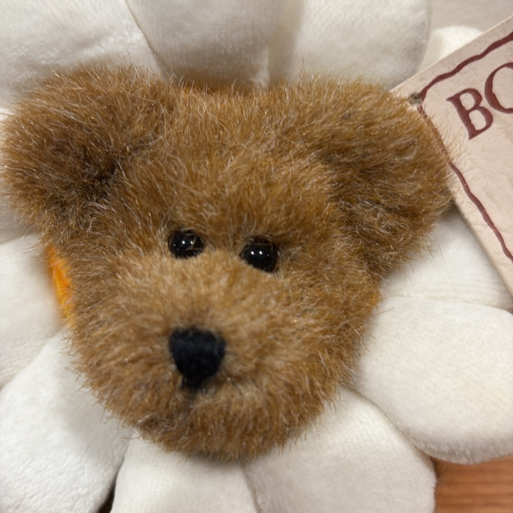Boyd’s Bears Petals Daisydew Plush Teddy Bear - Picture 8 of 14